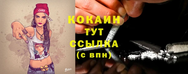 дживик Кукмор