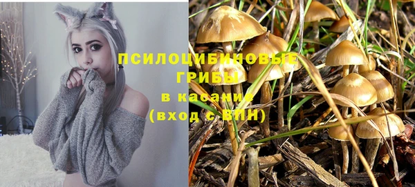 дживик Кукмор