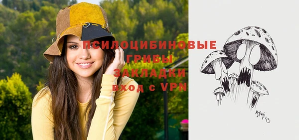 мдпв Кулебаки