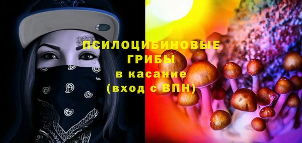 мдпв Кулебаки