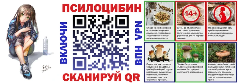 блэк спрут ССЫЛКА  Талица  Псилоцибиновые грибы MAGIC MUSHROOMS 